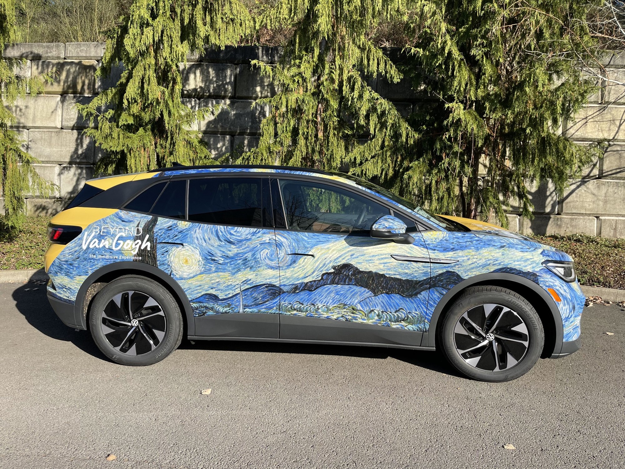 Van Gogh VW · Side View